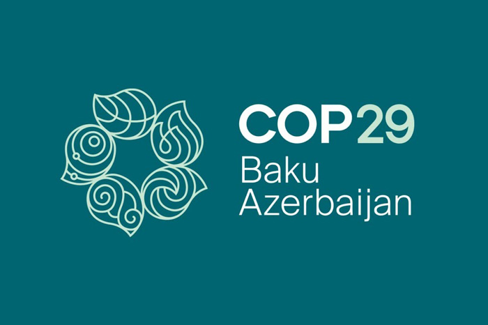 COP29 Image